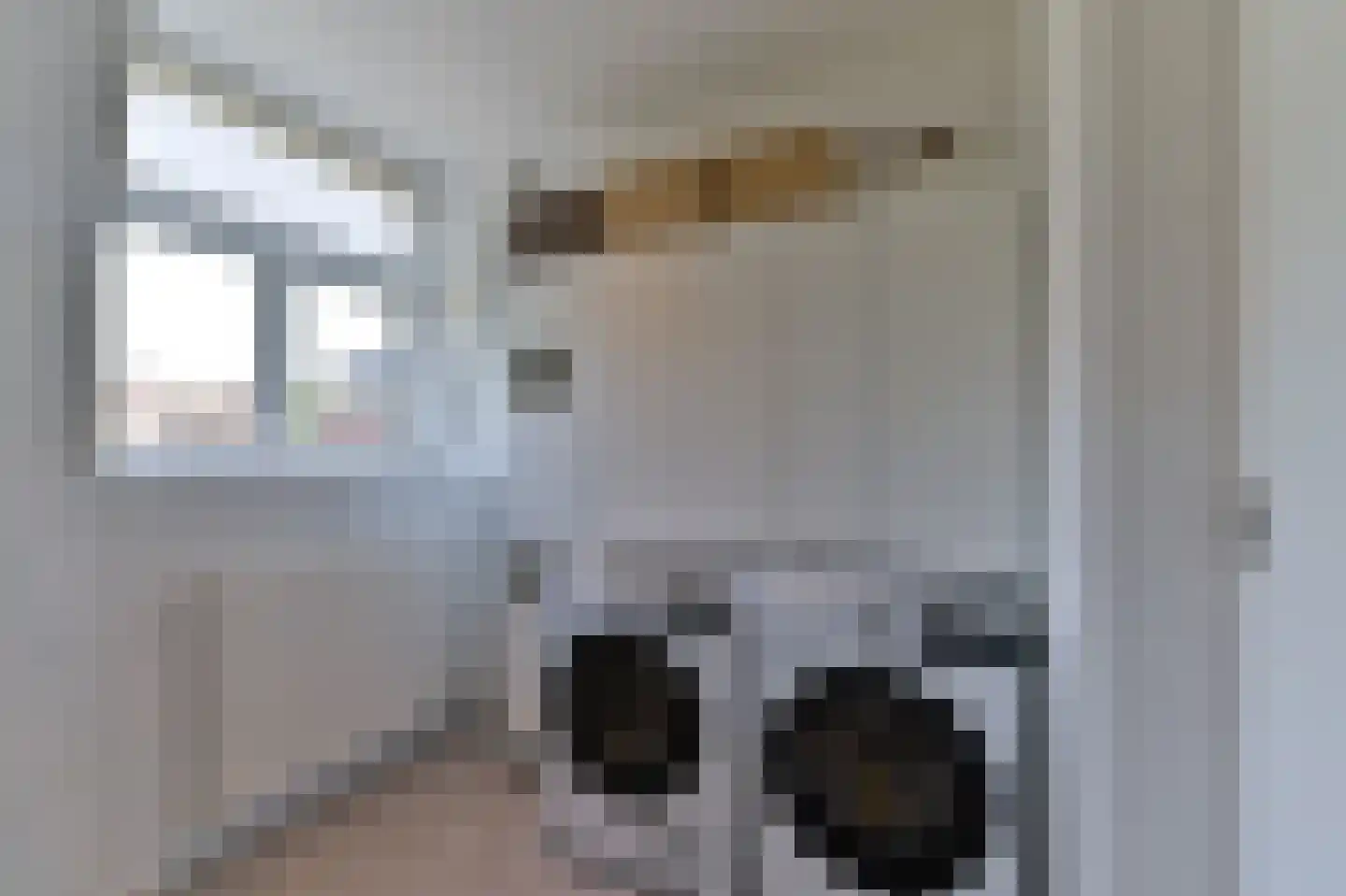 Noord Buitensingel 17 B Venlo thumbnail 25