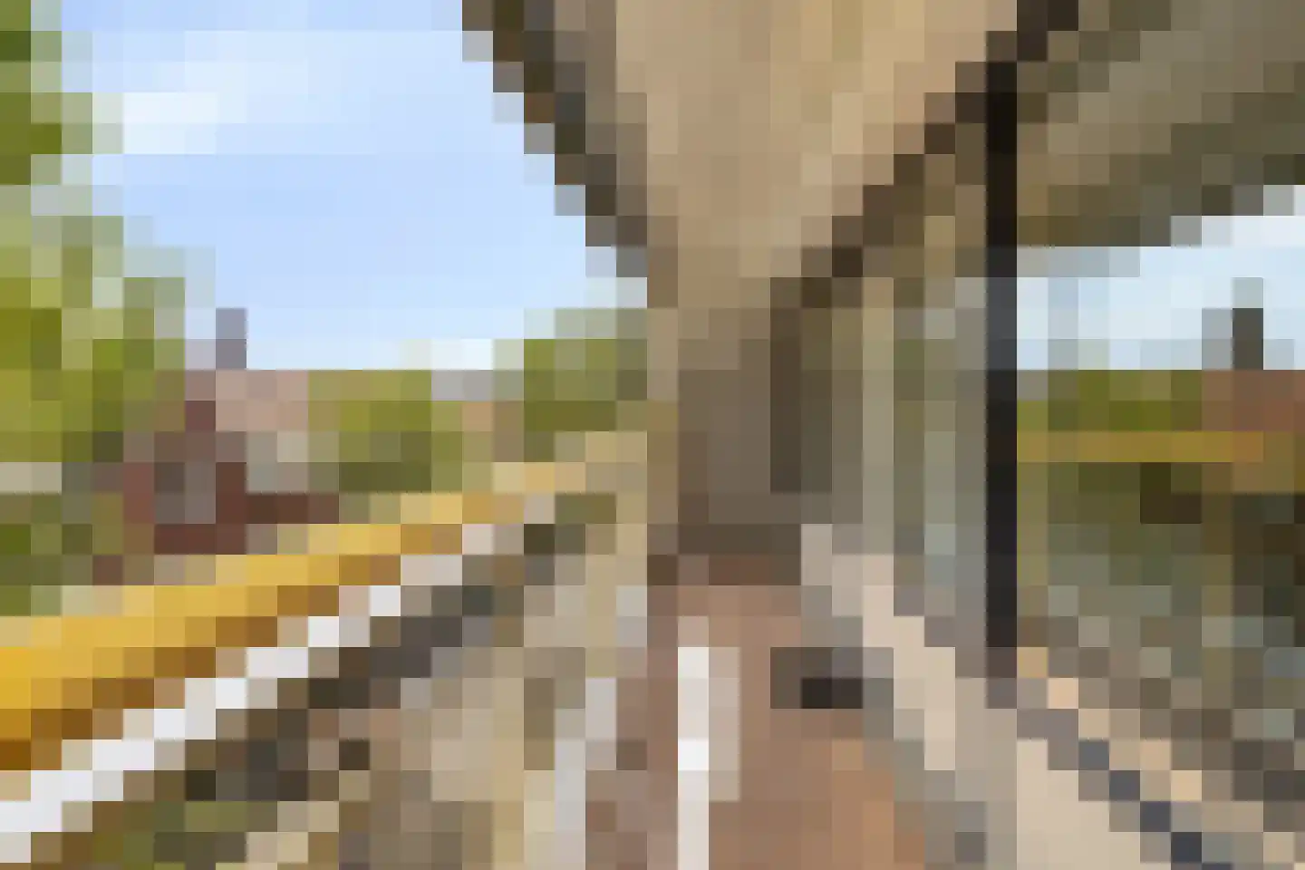Noord Buitensingel 99 Venlo thumbnail 22