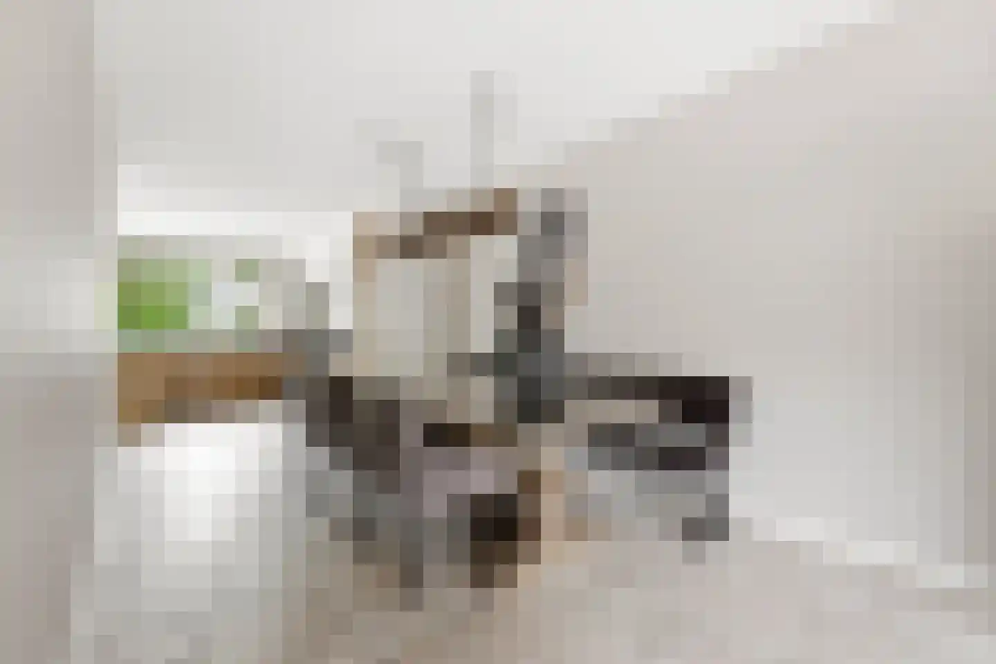 Noord en Landzigt 1 Alblasserdam thumbnail 10