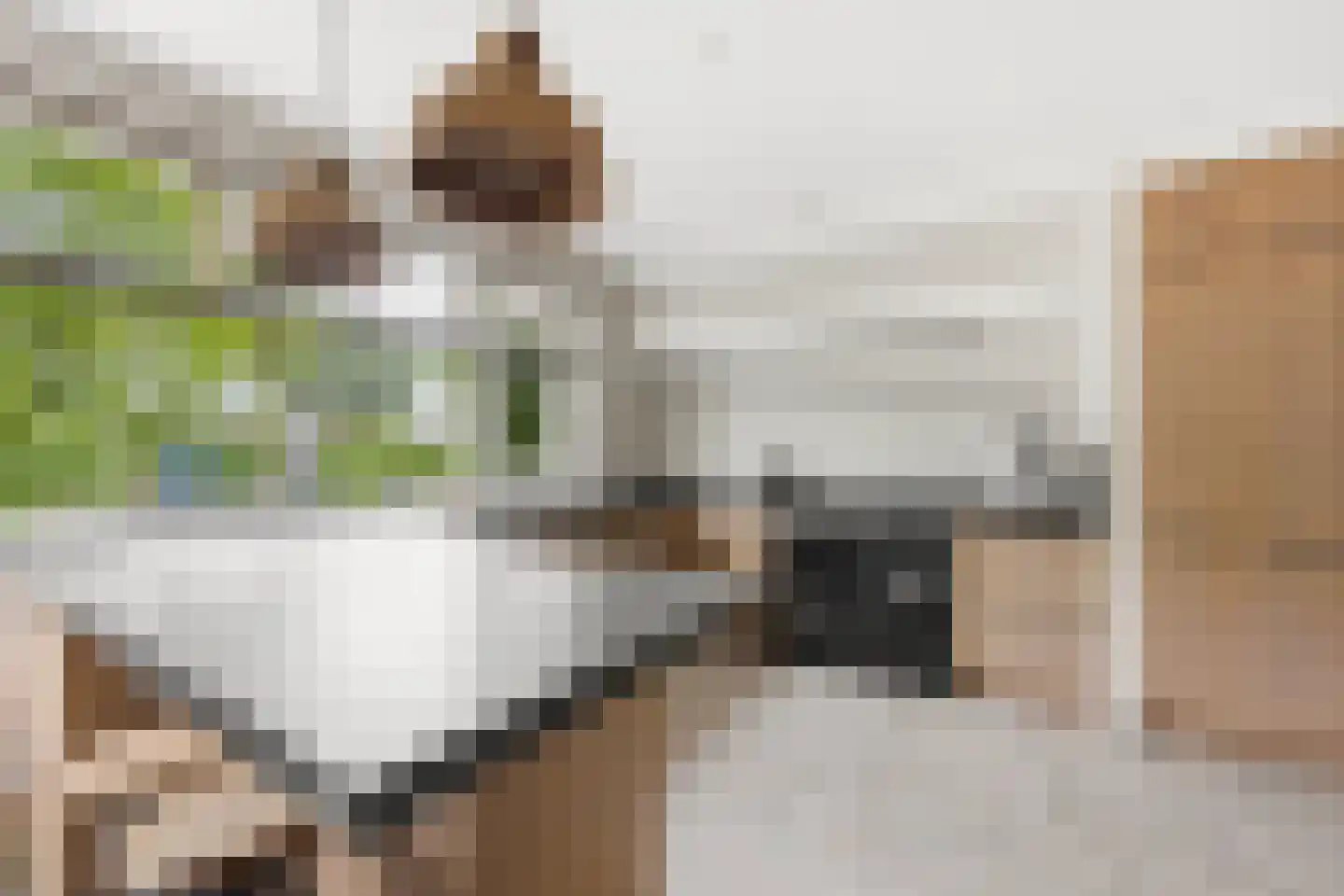 Noord en Landzigt 1 Alblasserdam thumbnail 12