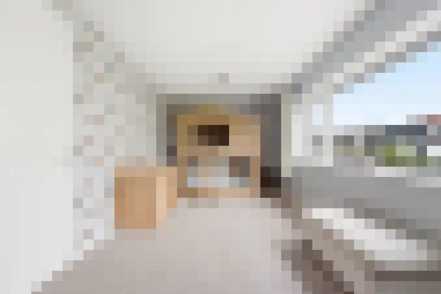 Noord en Landzigt 1 Alblasserdam thumbnail 39
