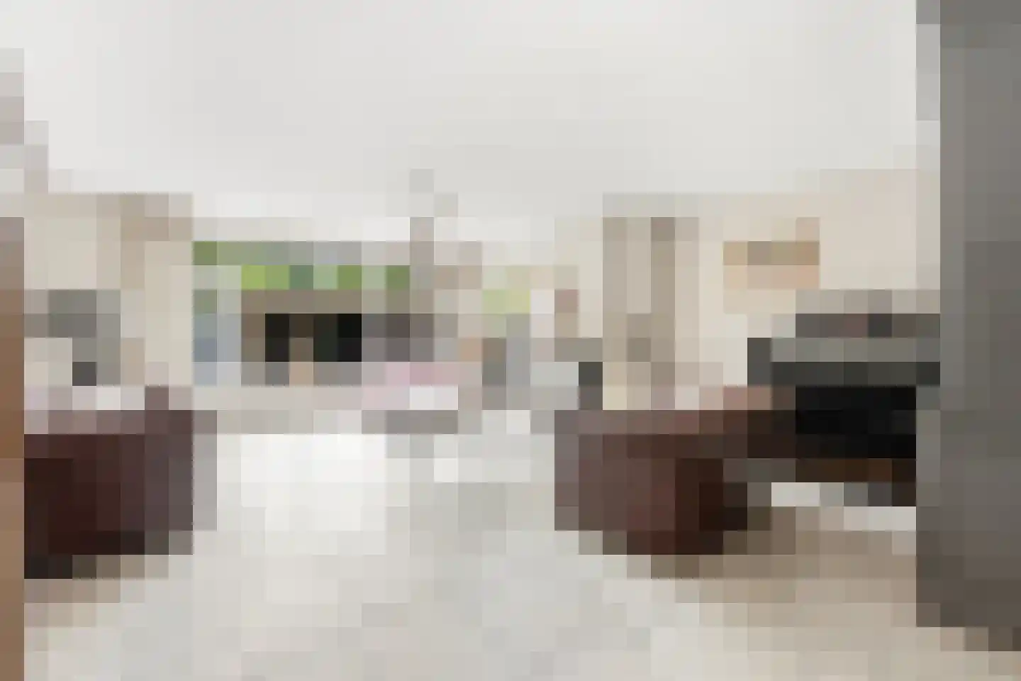 Noord en Landzigt 1 Alblasserdam thumbnail 4