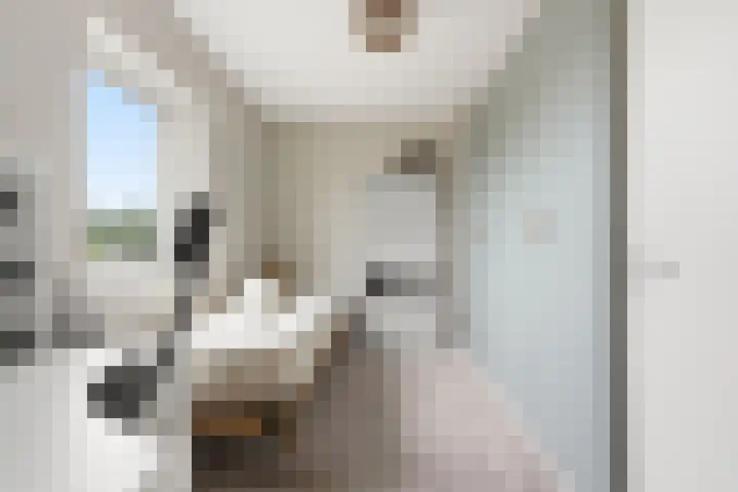 Noord en Landzigt 1 Alblasserdam thumbnail 40
