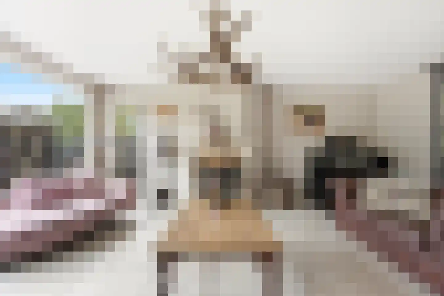 Noord en Landzigt 1 Alblasserdam thumbnail 5