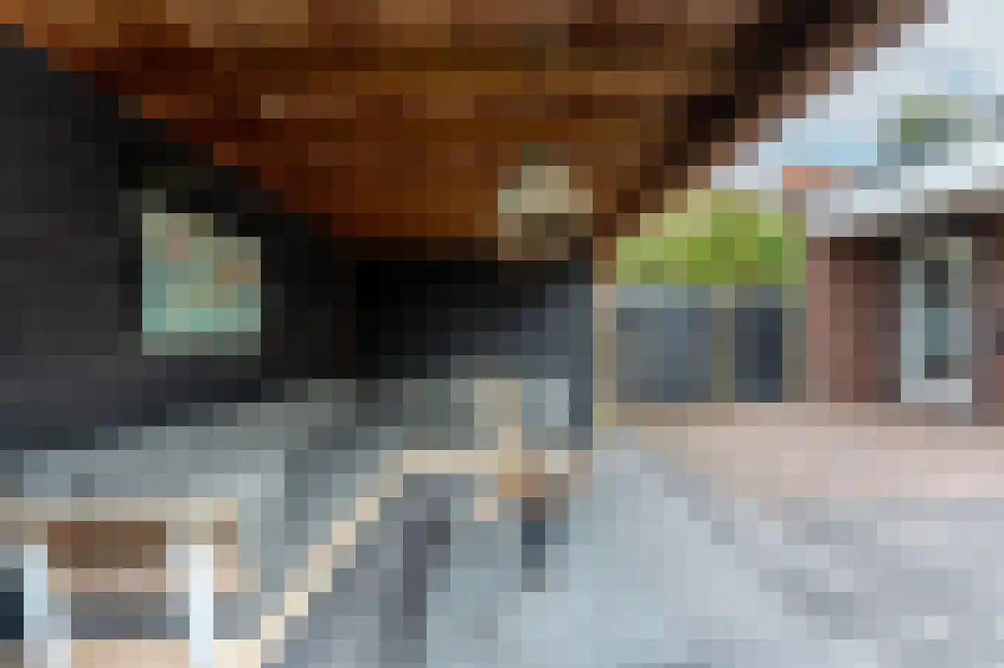 Noord en Landzigt 1 Alblasserdam thumbnail 50