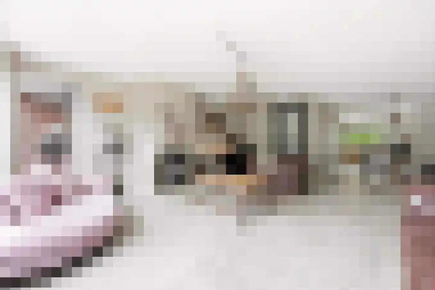Noord en Landzigt 1 Alblasserdam thumbnail 7