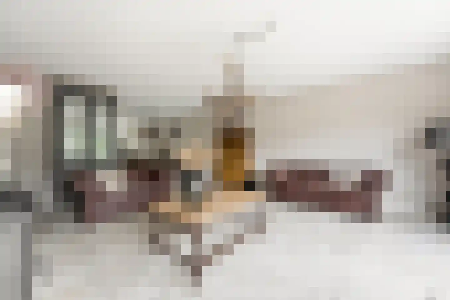 Noord en Landzigt 1 Alblasserdam thumbnail 8