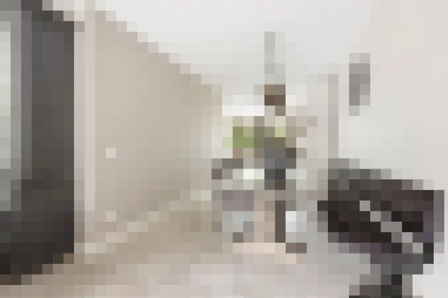 Noord en Landzigt 1 Alblasserdam thumbnail 9