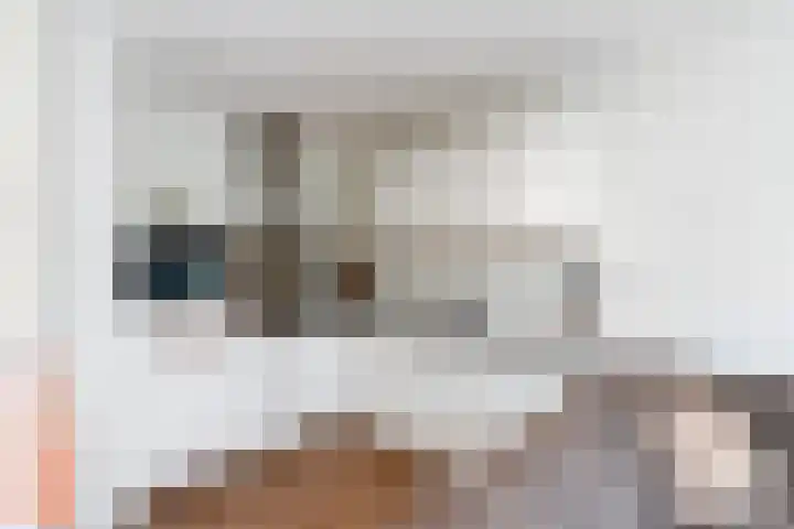 Noord en Landzigt 14 Alblasserdam thumbnail 11