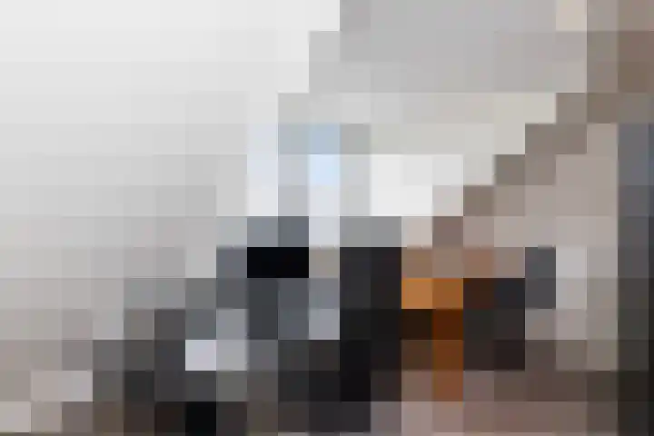 Noord en Landzigt 14 Alblasserdam thumbnail 28