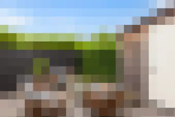 Noord en Landzigt 14 Alblasserdam thumbnail 32