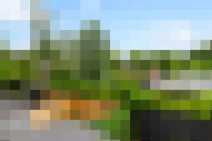 Noord en Landzigt 14 Alblasserdam thumbnail 34