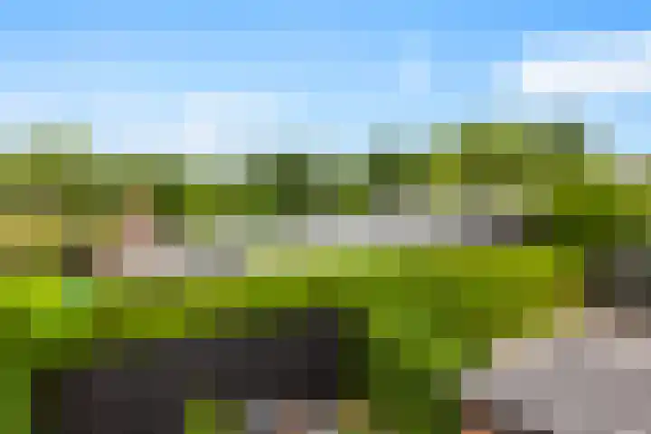 Noord en Landzigt 14 Alblasserdam thumbnail 35