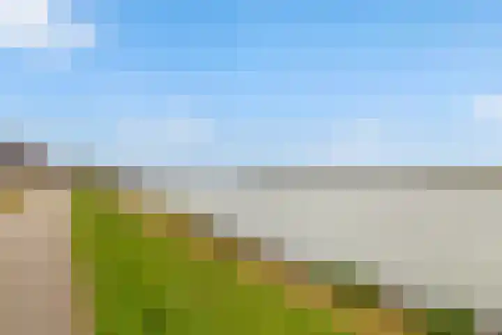 Noord en Landzigt 14 Alblasserdam thumbnail 37