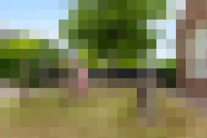 Noord en Landzigt 14 Alblasserdam thumbnail 39