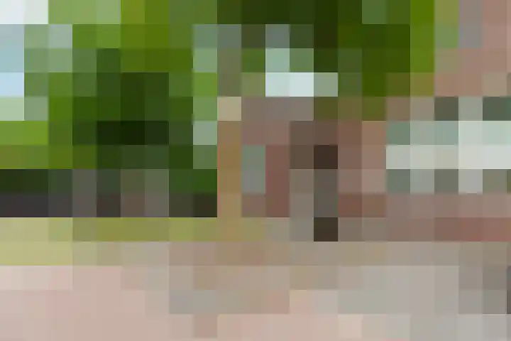 Noord en Landzigt 14 Alblasserdam thumbnail 40