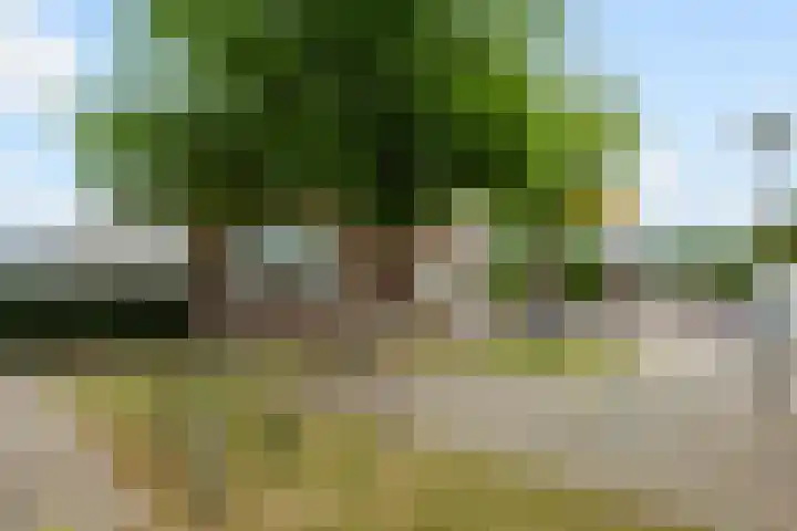 Noord en Landzigt 14 Alblasserdam thumbnail 41