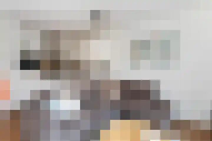 Noord en Landzigt 14 Alblasserdam thumbnail 6