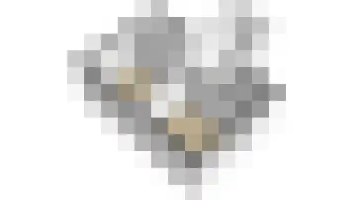 Noord en Landzigt 9 Alblasserdam thumbnail 101