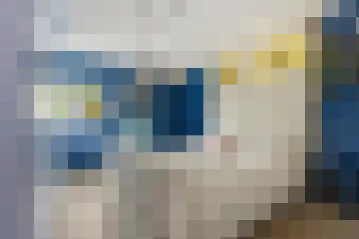 Noord en Landzigt 9 Alblasserdam thumbnail 14
