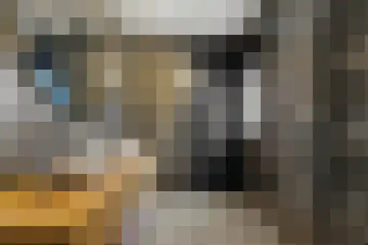 Noord en Landzigt 9 Alblasserdam thumbnail 17