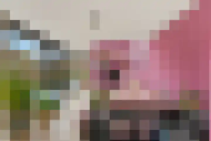 Noord en Landzigt 9 Alblasserdam thumbnail 20