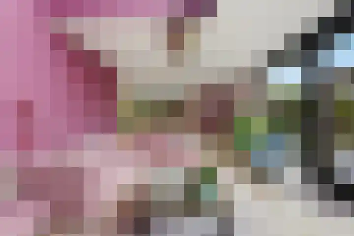 Noord en Landzigt 9 Alblasserdam thumbnail 26