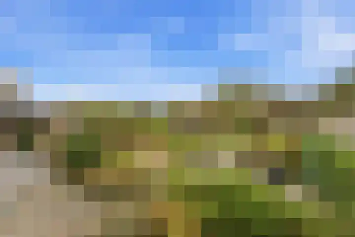 Noord en Landzigt 9 Alblasserdam thumbnail 4