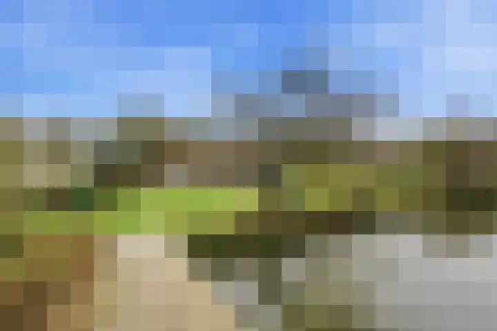 Noord en Landzigt 9 Alblasserdam thumbnail 6