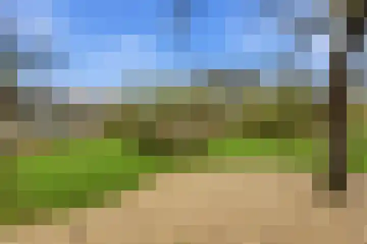 Noord en Landzigt 9 Alblasserdam thumbnail 65
