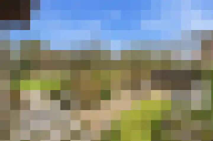 Noord en Landzigt 9 Alblasserdam thumbnail 67