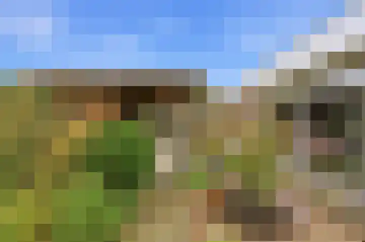 Noord en Landzigt 9 Alblasserdam thumbnail 68