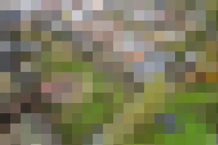 Noord en Landzigt 9 Alblasserdam thumbnail 8