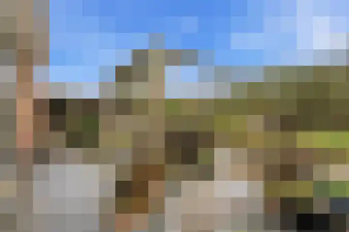 Noord en Landzigt 9 Alblasserdam thumbnail 80