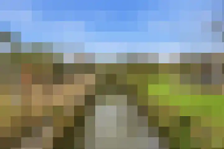 Noord en Landzigt 9 Alblasserdam thumbnail 84