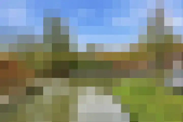 Noord en Landzigt 9 Alblasserdam thumbnail 91