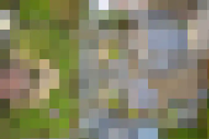 Noord en Landzigt 9 Alblasserdam thumbnail 93