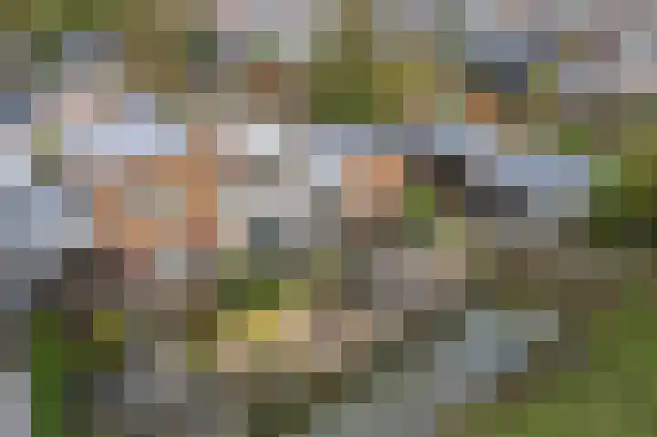 Noord en Landzigt 9 Alblasserdam thumbnail 95