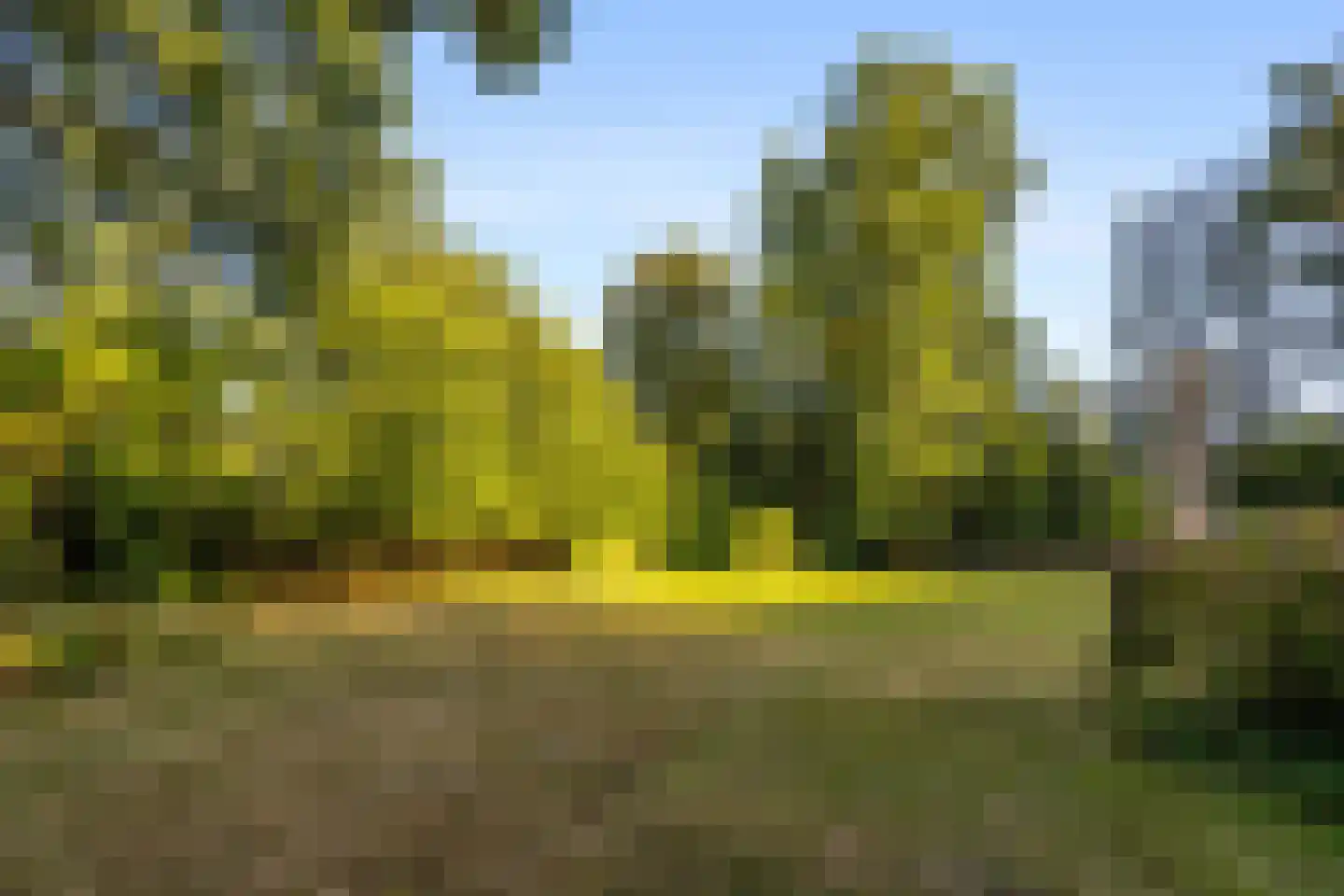 Noord Esmarkerrondweg 73 Enschede thumbnail 4