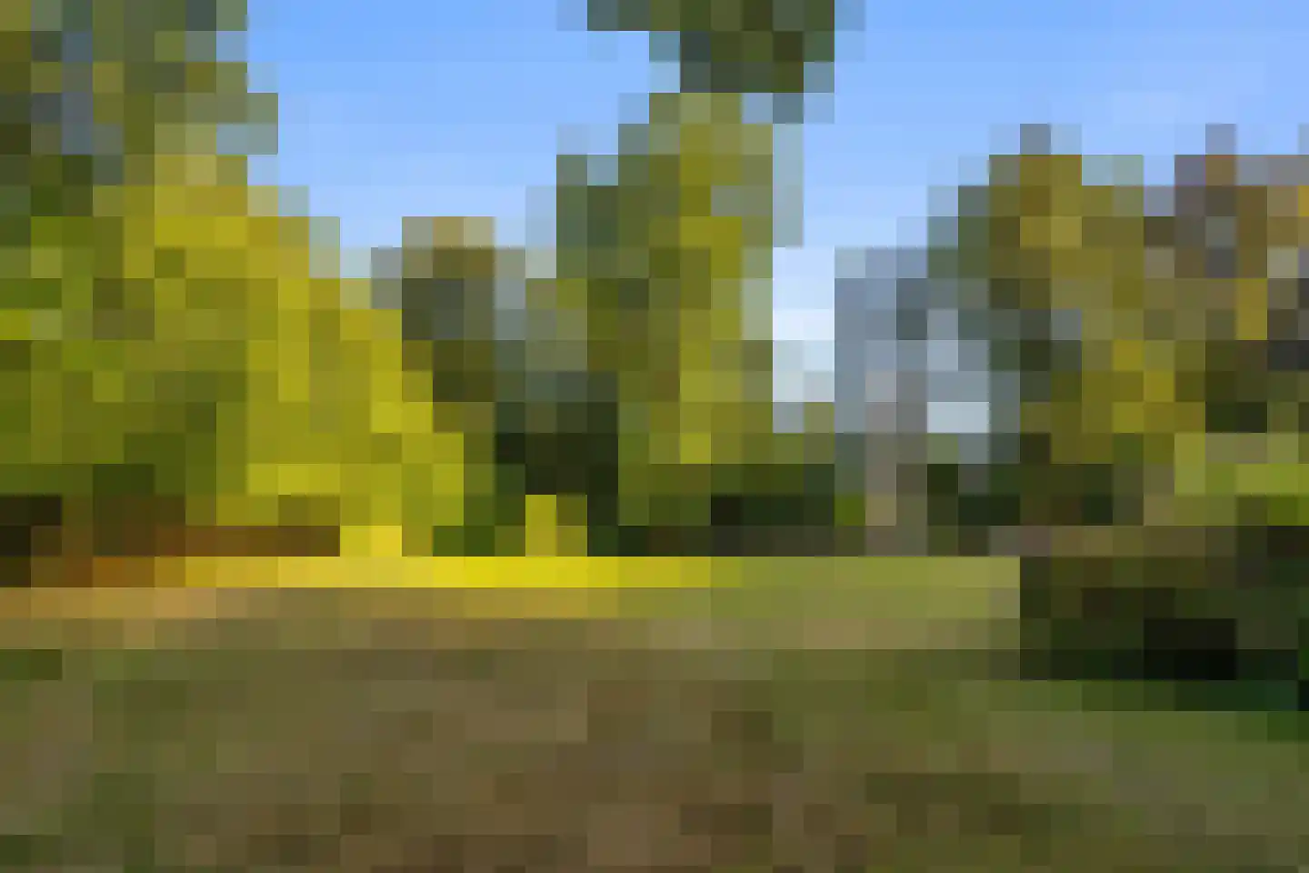 Noord Esmarkerrondweg 73 Enschede thumbnail 55