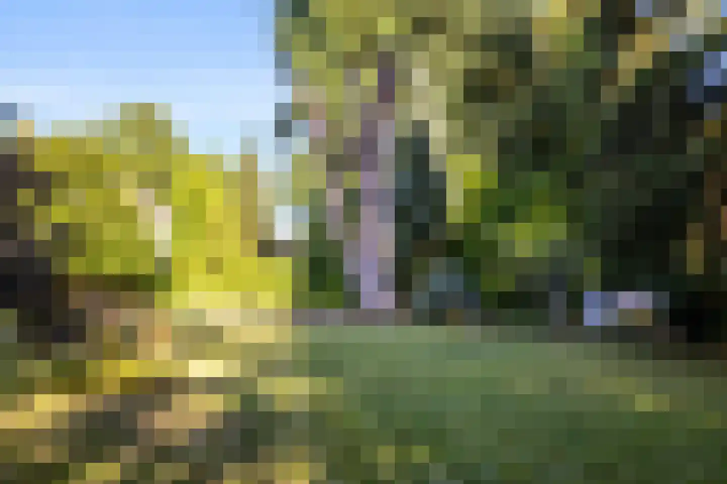 Noord Esmarkerrondweg 73 Enschede thumbnail 56