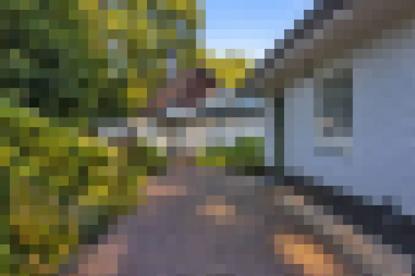 Noord Esmarkerrondweg 73 Enschede thumbnail 59