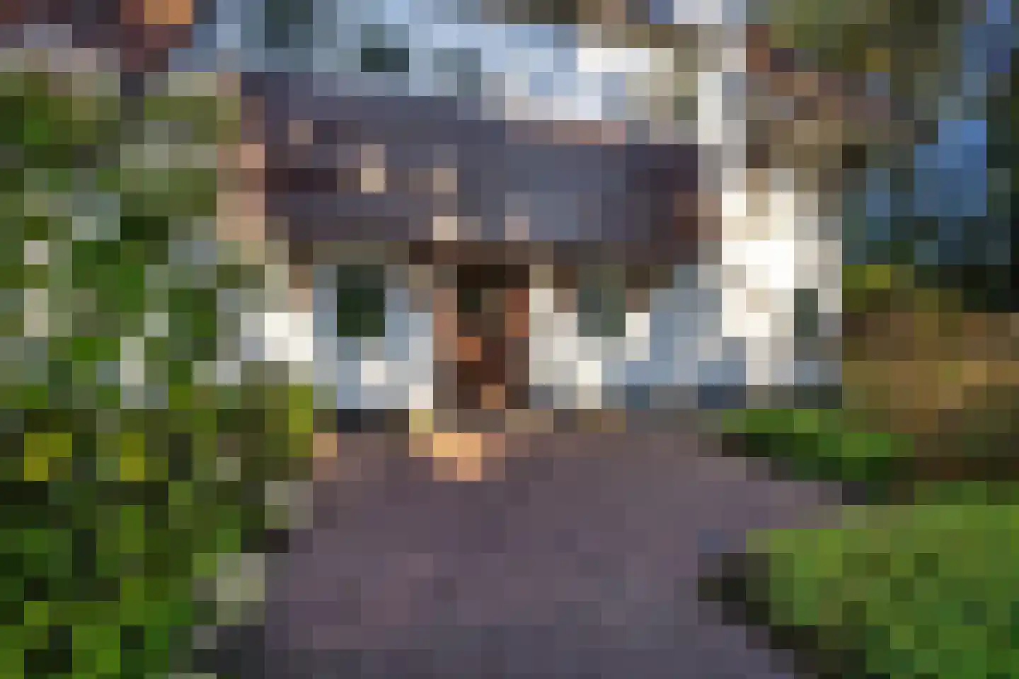 Noord Esmarkerrondweg 73 Enschede thumbnail 7