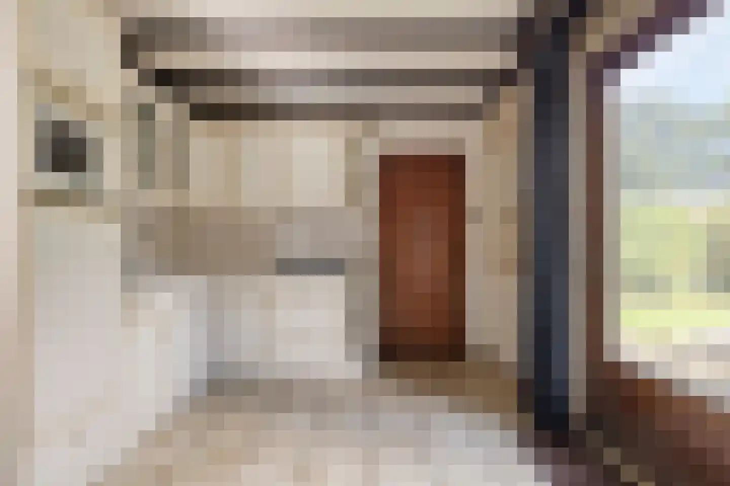 Noord-Hollandlaan 22 Lage Zwaluwe thumbnail 14
