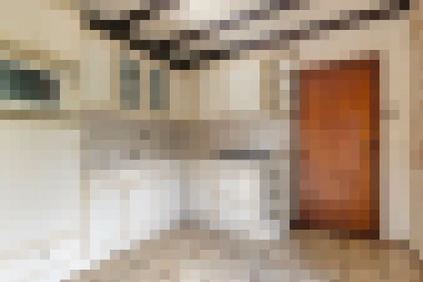 Noord-Hollandlaan 22 Lage Zwaluwe thumbnail 15