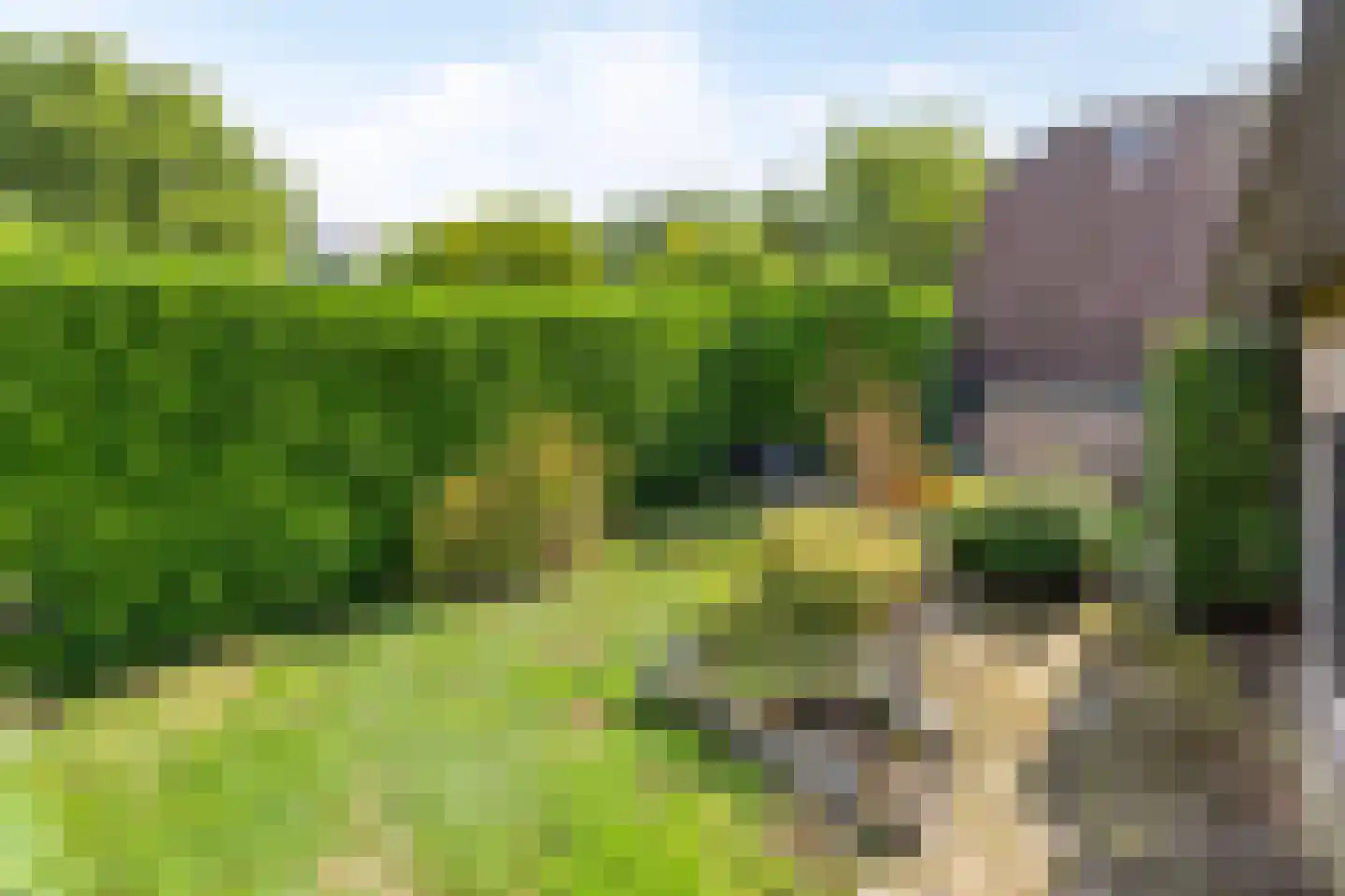 Noord-Hollandlaan 22 Lage Zwaluwe foto 3