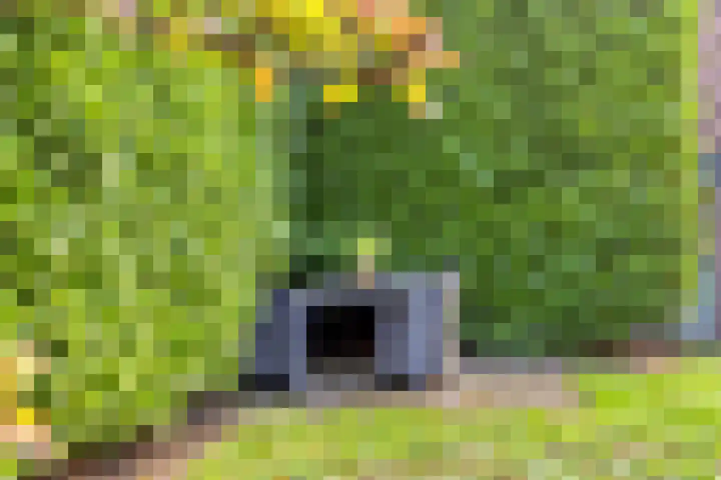Noord-Hollandlaan 22 Lage Zwaluwe thumbnail 30