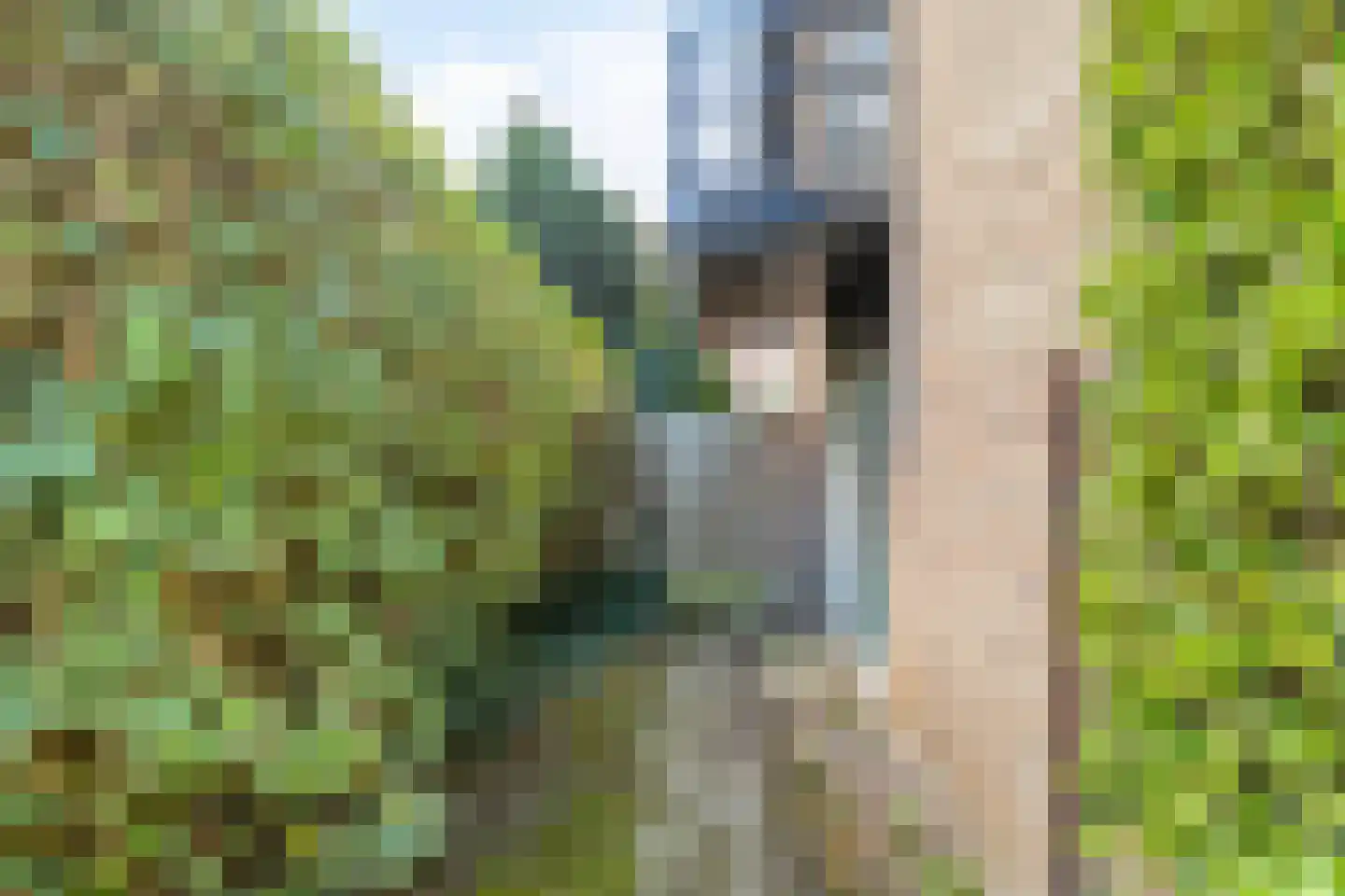 Noord-Hollandlaan 22 Lage Zwaluwe thumbnail 32