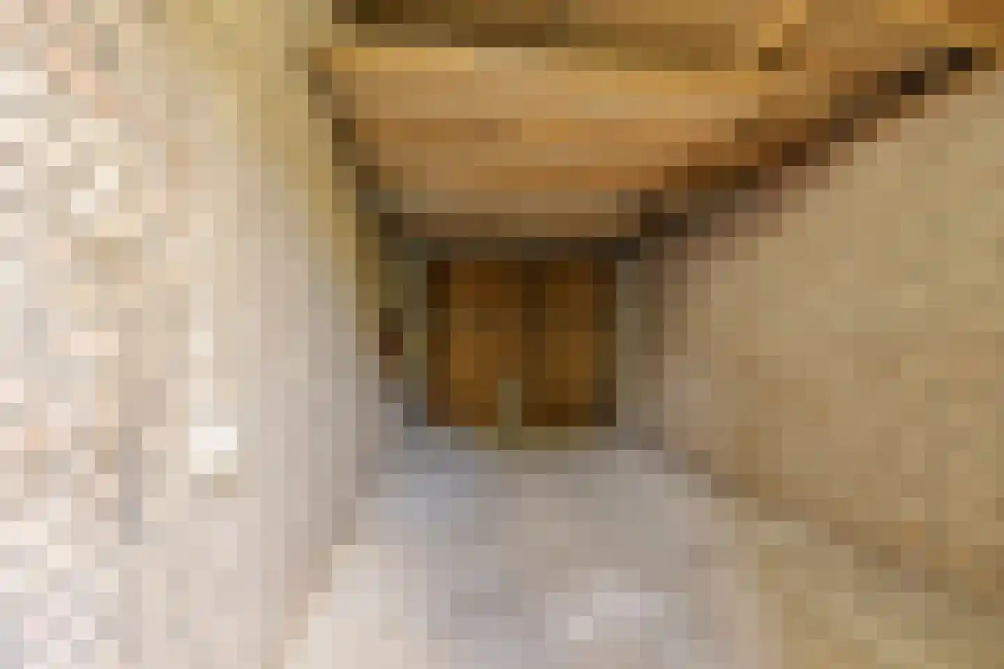 Noord-Hollandlaan 22 Lage Zwaluwe thumbnail 36
