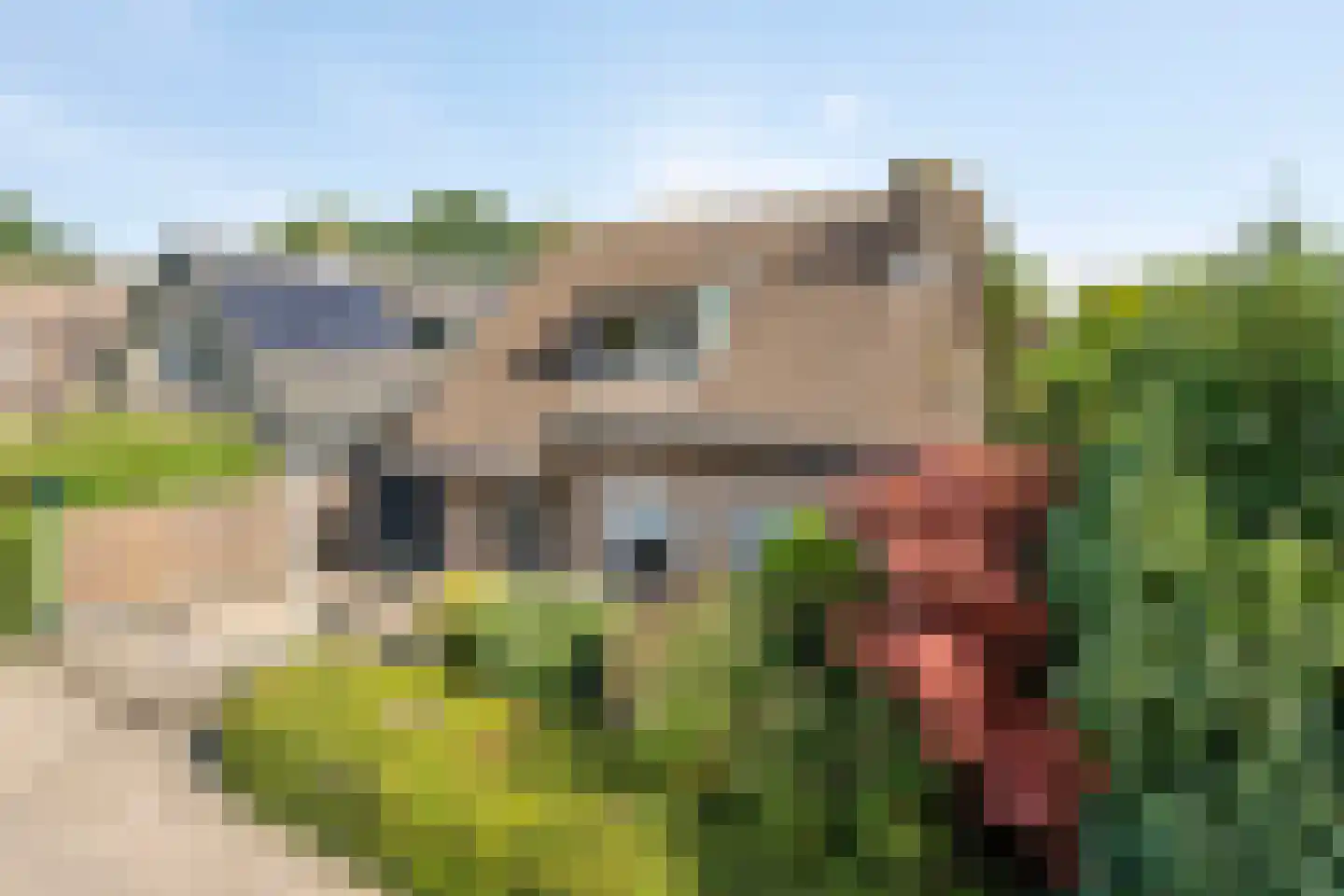 Noord-Hollandlaan 22 Lage Zwaluwe thumbnail 39
